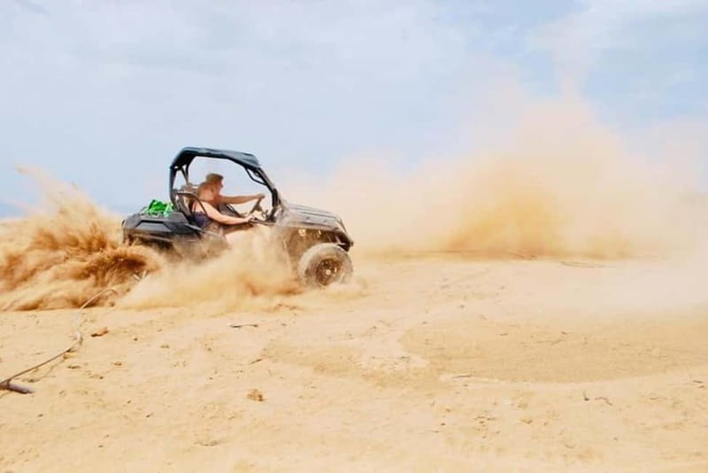 Tenerife: South Coast Buggy Tour with Off-Roading - Price and Logistics: Is It Worth It?
