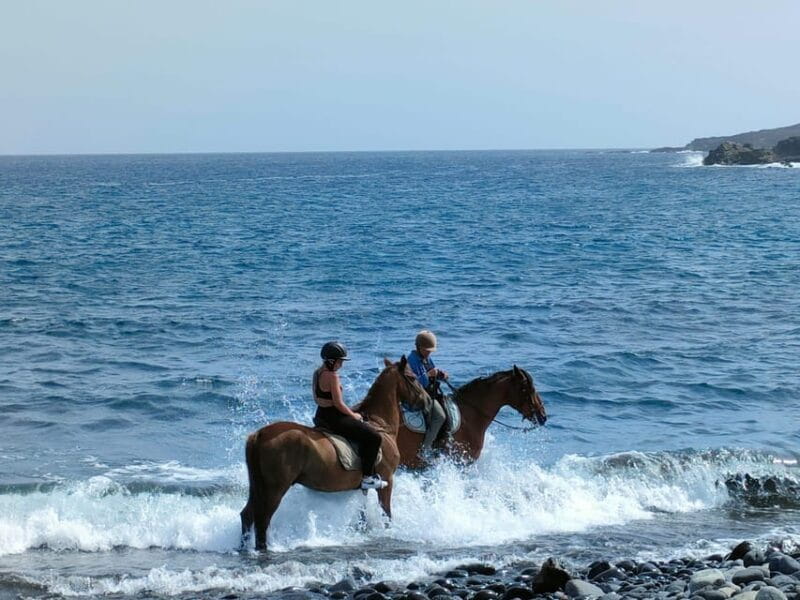 Tenerife South: Private Horseback Riding to the Coast - Discover the Charm of Tenerife South with a Private Horseback Ride to the Coast