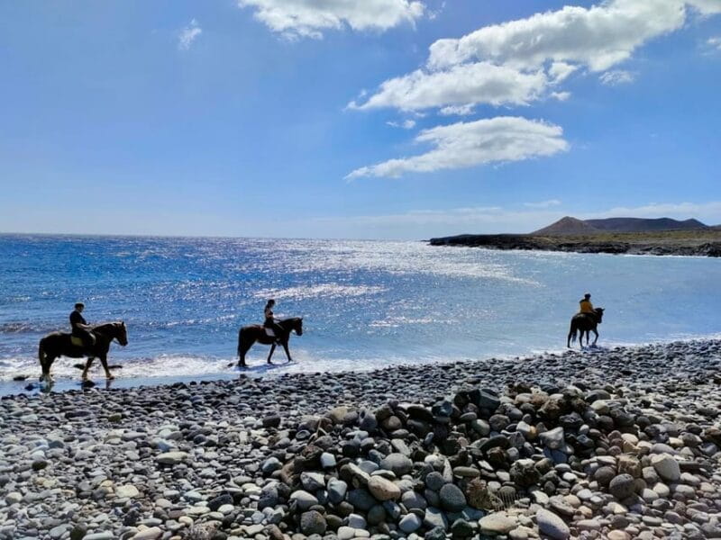 Tenerife South: Private Horseback Riding to the Coast - Key points / Takeaways