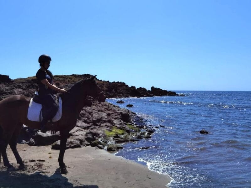 Tenerife South: Private Horseback Riding to the Coast - The Ride Itself: A Personal, Authentic Journey