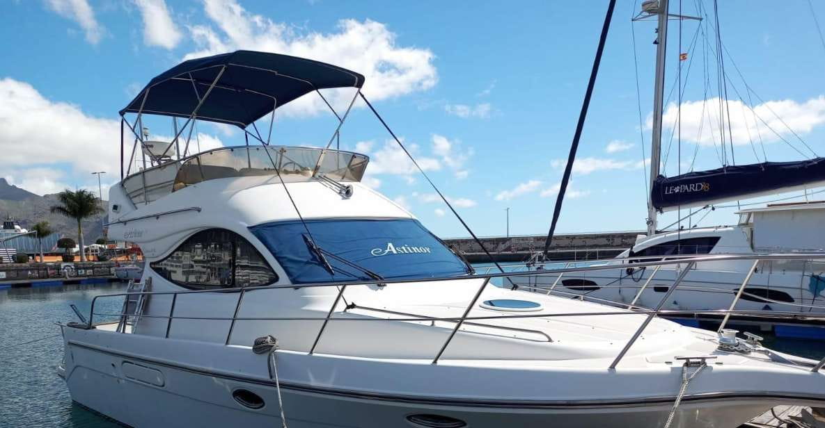 Tenerife South: Safari With Luxury Boat, Animal Encounters - Pricing and Booking Information