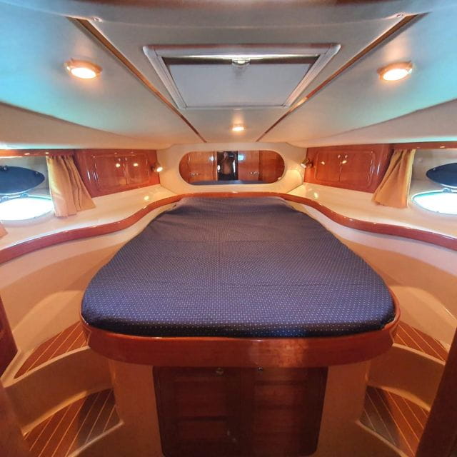 Tenerife South: Safari With Luxury Boat, Animal Encounters - Highlights of the Safari