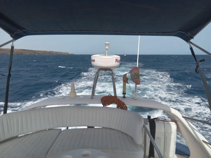 Tenerife South: Safari With Luxury Boat, Animal Encounters - Luxury Boat Features