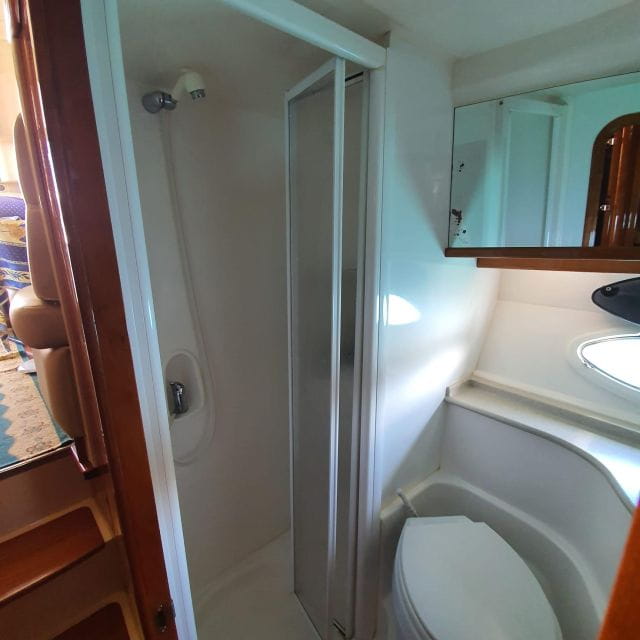 Tenerife South: Safari With Luxury Boat, Animal Encounters - Customer Feedback and Ratings