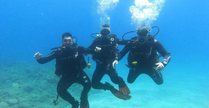 Tenerife south: Scuba Dive for beginners in Adeje - Introduction: An Accessible Underwater Adventure in Tenerife