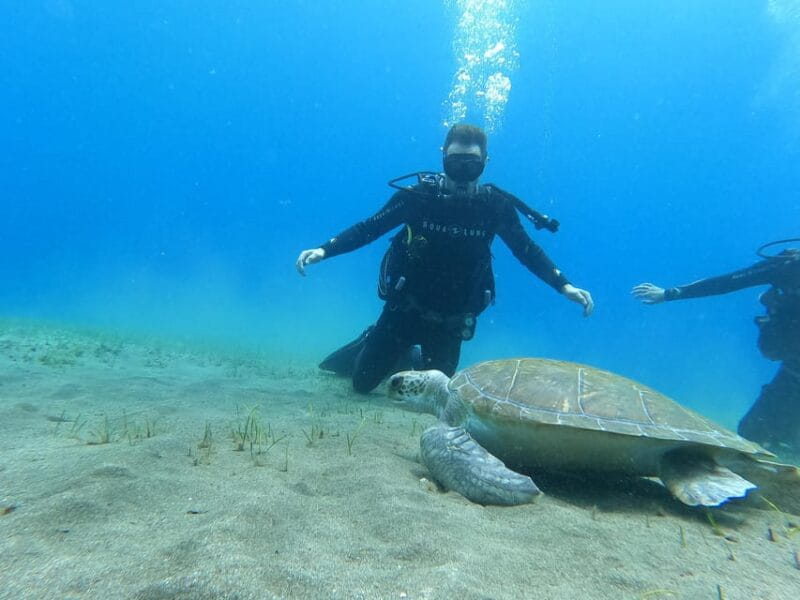 Tenerife south: Scuba Dive for beginners in Adeje - What’s the Day Like? A Step-by-Step Breakdown