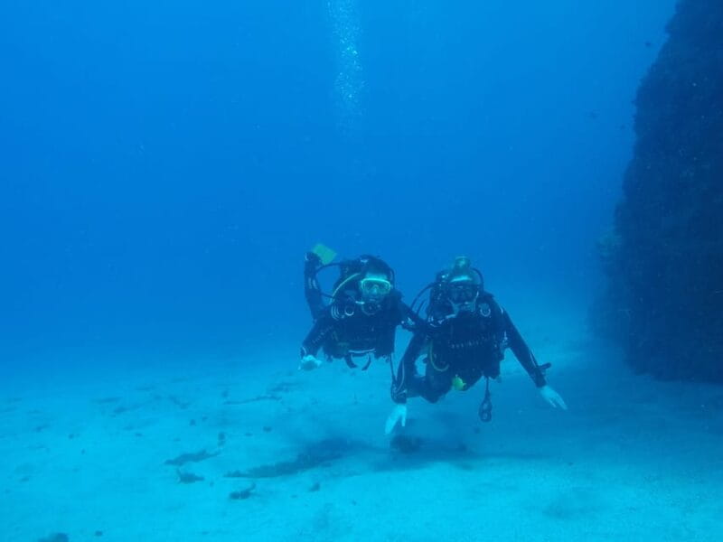 Tenerife south: Scuba Dive for beginners in Adeje - Safety and Comfort Are Front and Center