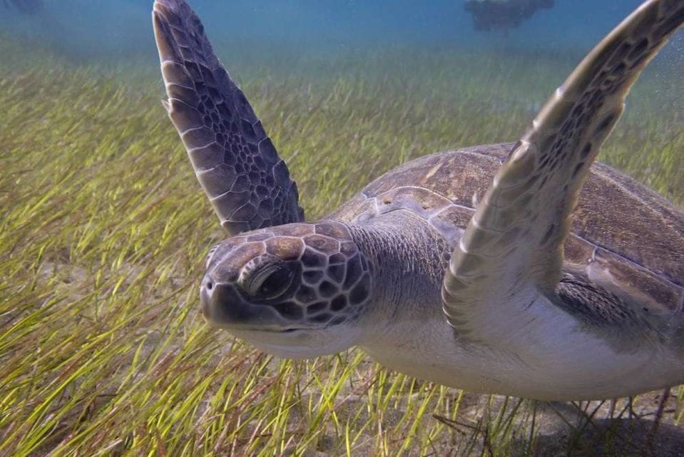 Tenerife: SSI Advanced Adventurer Diving Course - Course Duration