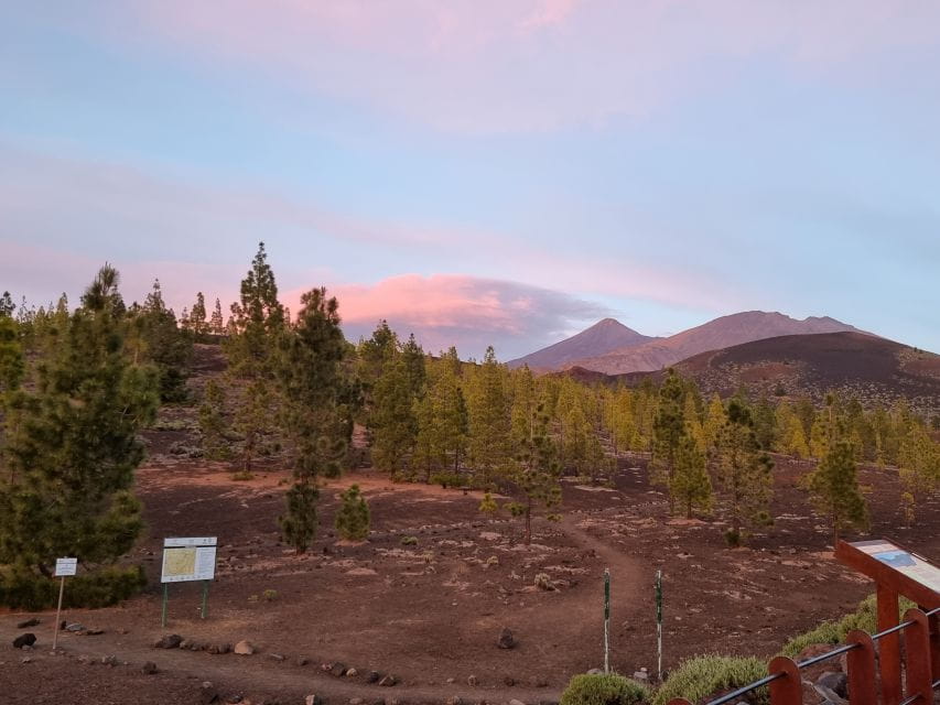 Tenerife: Sunset and Stargazing at Teide National Park - What to Expect on the Tour