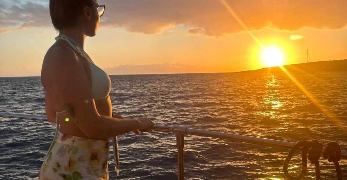 Tenerife: Sunset Catamaran Tour With Transfer, Buffet & Drinks - Key Points