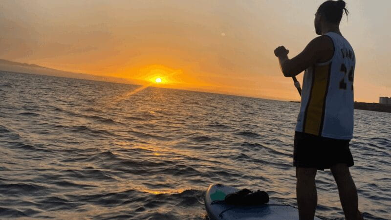 Tenerife: Sunset Stand-Up Paddleboarding Tour - Key points / Takeaways