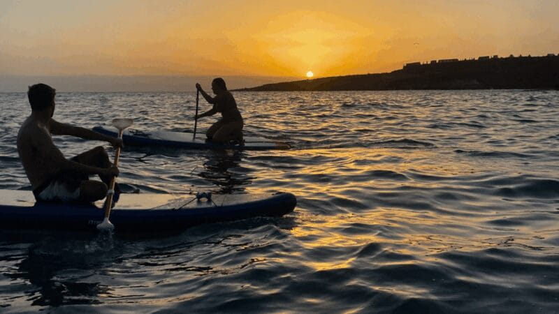 Tenerife: Sunset Stand-Up Paddleboarding Tour - Who Will Love This Tour?