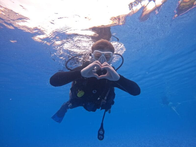 Tenerife sur: Buceo para principiantes en Adeje - Key points / Takeaways