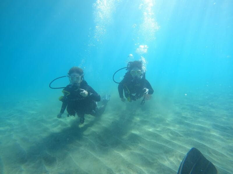 Tenerife sur: Buceo para principiantes en Adeje - Who Should Be Cautious?