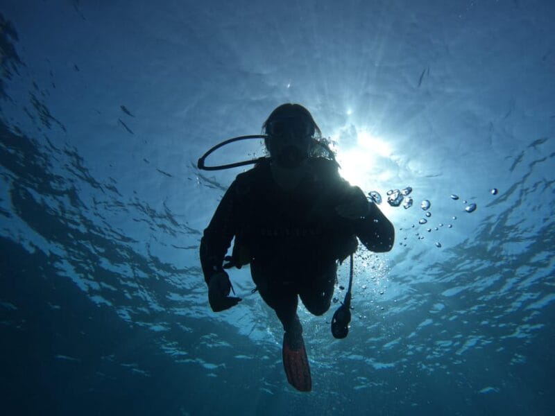 Tenerife sur: Buceo para principiantes en Adeje - Price and Value