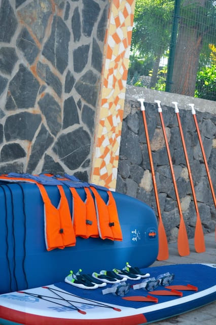 TENERIFE SUR: Paddleboarding tour and SNORKEL - Who Would Love This Tour?