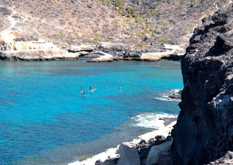 TENERIFE SUR: Paddleboarding tour and SNORKEL - Price and Value Analysis