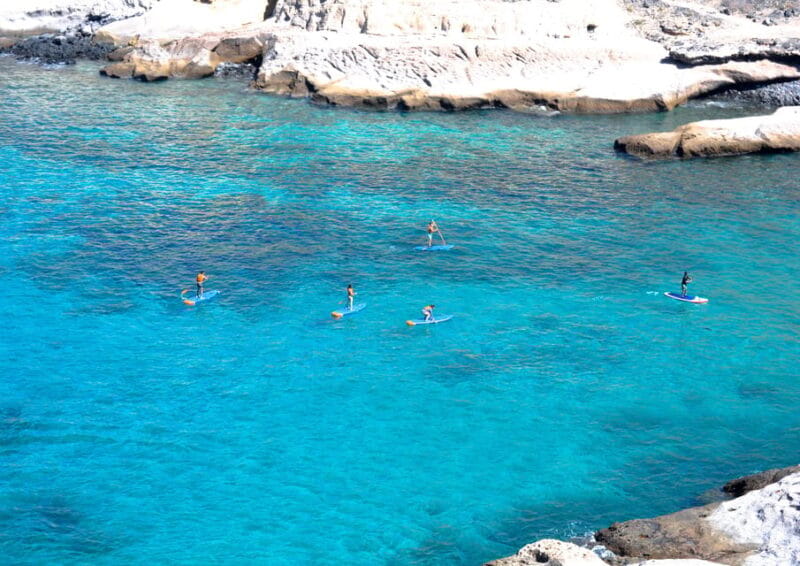 TENERIFE SUR: Paddleboarding tour and SNORKEL - Frequently Asked Questions