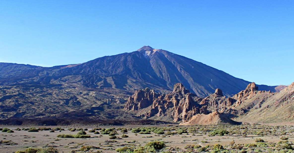 Tenerife: Teide and Las Cañadas Half-Day Tour - Experience Highlights