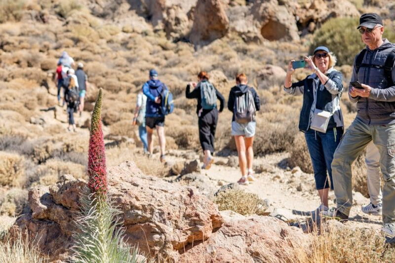 Tenerife : Teide Hiking - FAQ