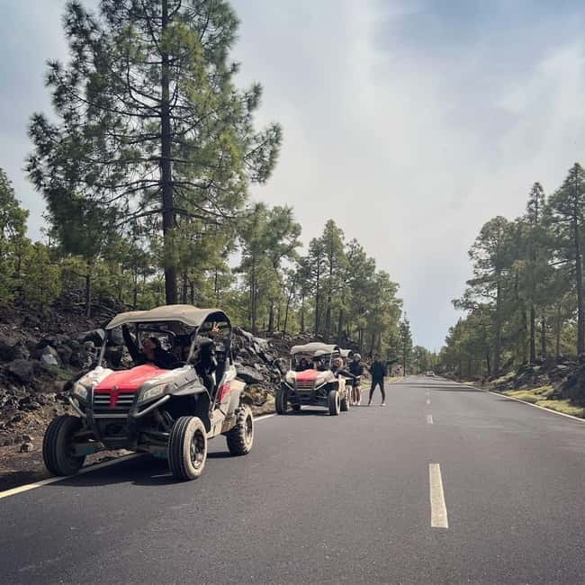 Tenerife: Teide National Park and Volcano Buggy Tour - Price, Logistics, and What You’re Paying For