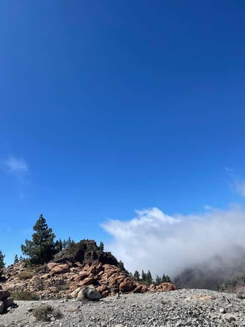 Tenerife: Teide National Park Excursion Teide Tours in a VIP 4x4 Jeep - Key points / Takeaways