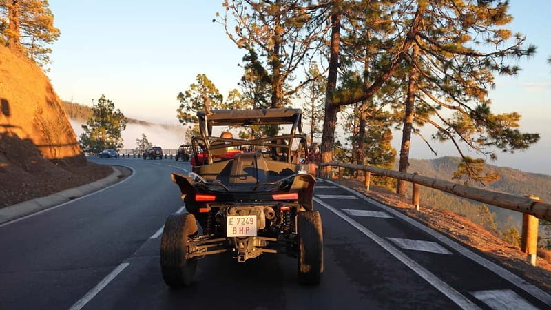 Tenerife: Teide National Park Guided Buggy Tour - Price and Logistics: Making It Work