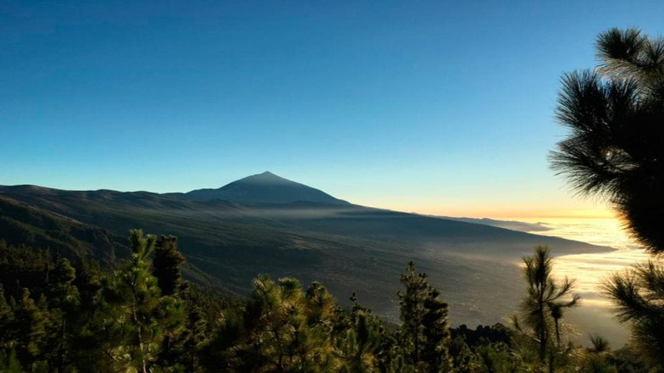 Tenerife: Teide National Park Guided Full-Day Trip by Bus - Itinerary and Experience