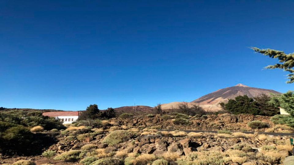 Tenerife: Teide National Park Guided Full-Day Trip by Bus - Transportation and Accessibility