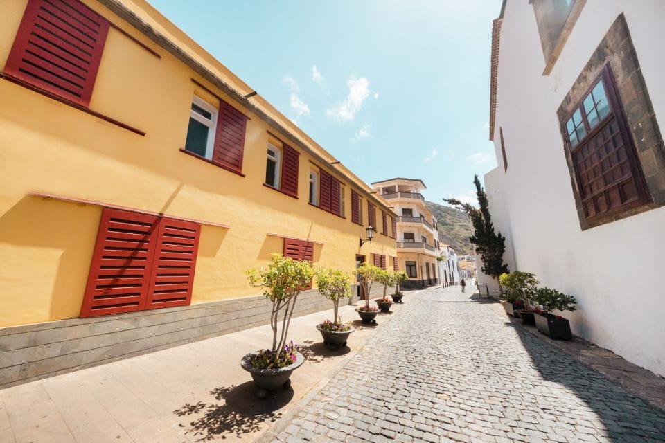 Tenerife: Teide Volcano and North of the Island VIP Tour - Guided Experience and Learning