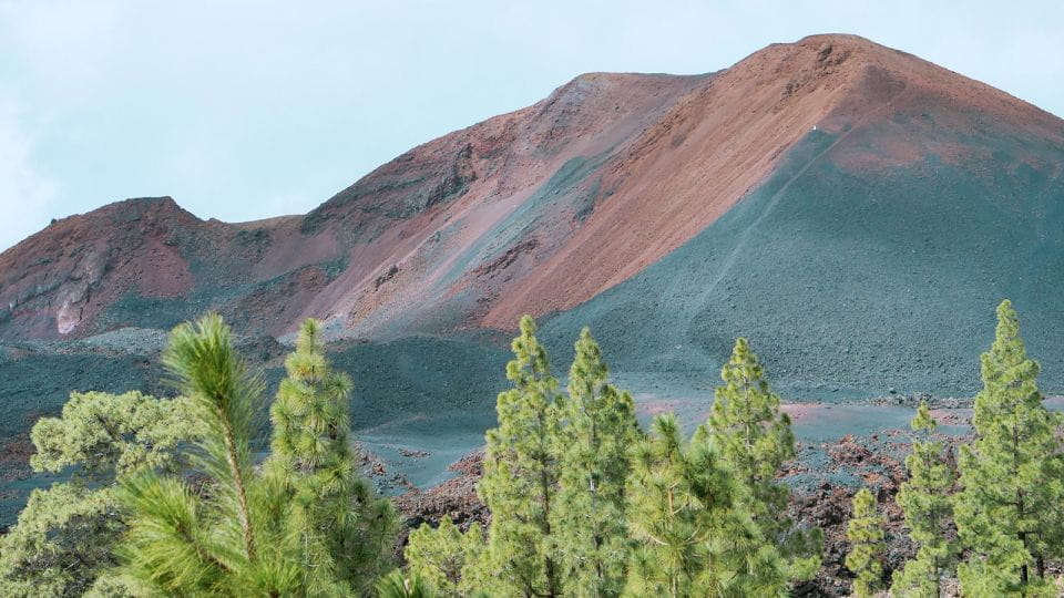 Tenerife: Teide Volcano and North of the Island VIP Tour - Important Information