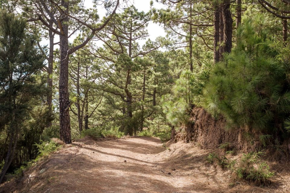 Tenerife: Teide Volcano and North of the Island VIP Tour - Refund Policy