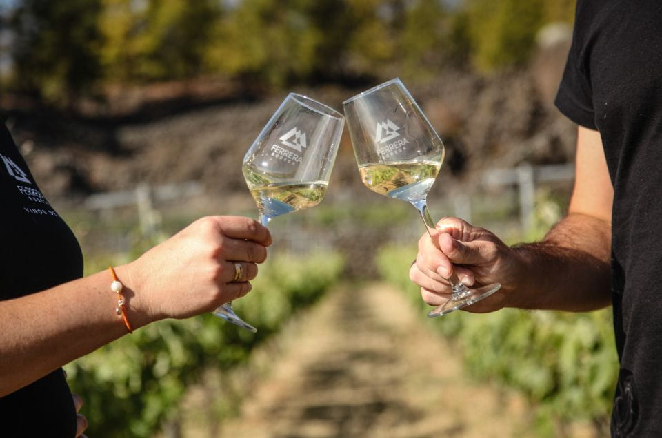 Tenerife: Tour of an Organic Vineyard With Tasting & Snacks - Customer Reviews and Feedback