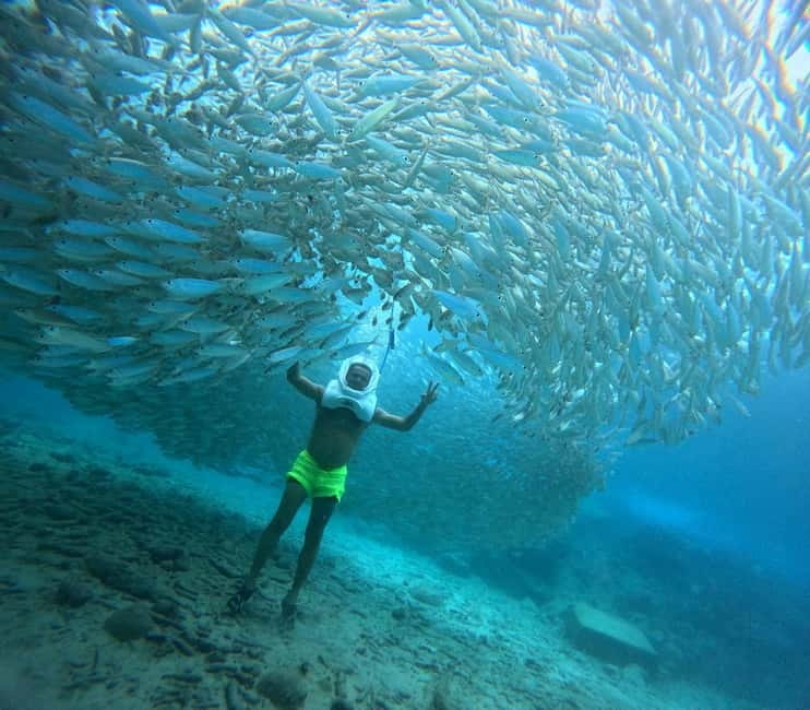 Tenerife: Underwater Walk - Sea Trek Experience - Key points / Takeaways