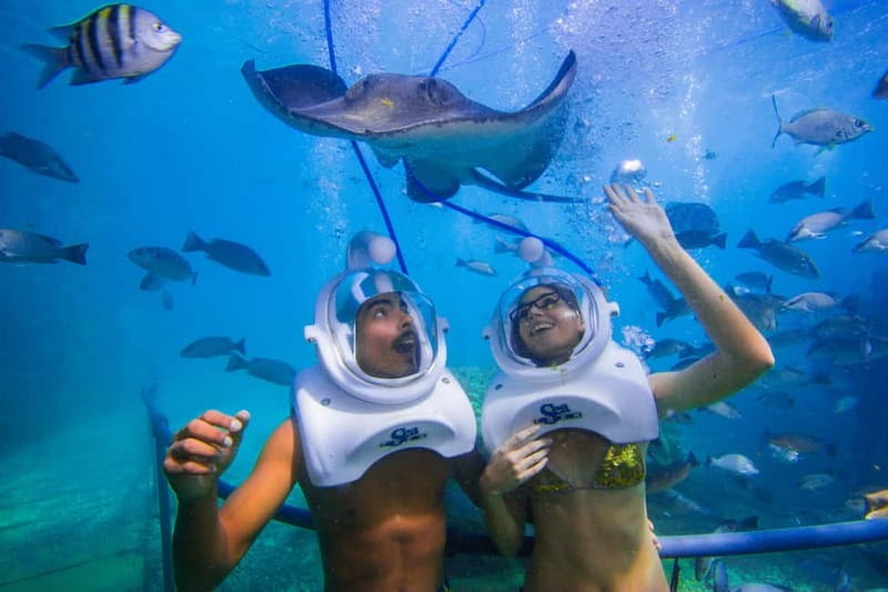 Tenerife: Underwater Walk - Sea Trek Experience - Navigating the Experience: What You Can Expect