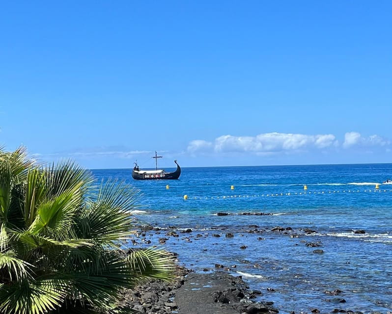 Tenerife: Viking Cruise With Drinks, Whales & Dolphins - Accessibility Options