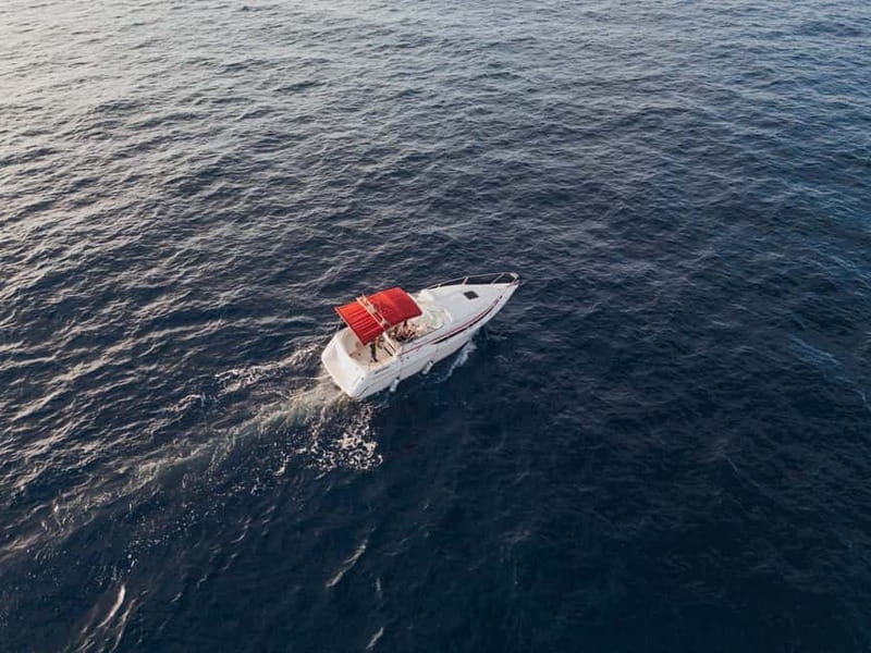 Tenerife: VIP 3 hour Private Luxury Boat Charter Experience - Logistics and Practical Tips