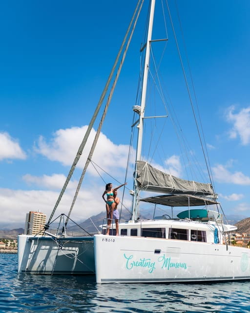 Tenerife: Whale and Dolphin Watching Boat Tour - Key points / Takeaways