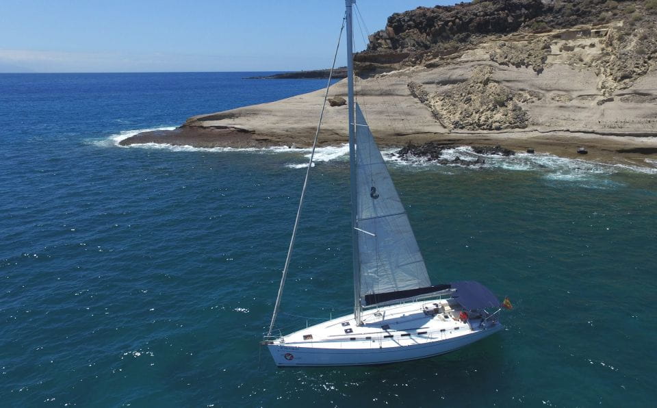 Tenerife: Whale and Dolphin Watching Tour by Sailboat - Inclusions and Amenities