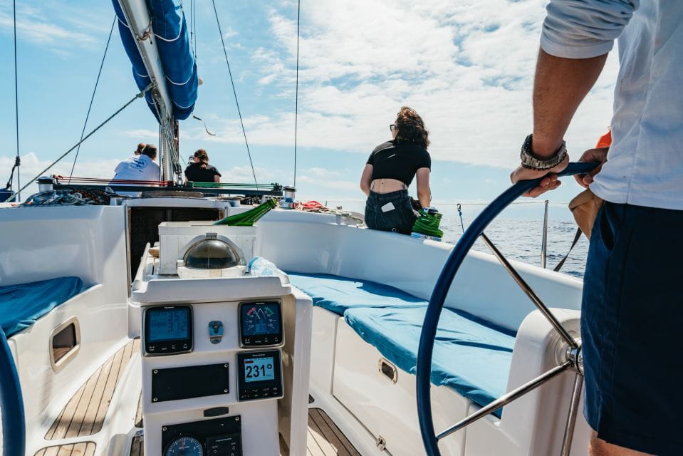 Tenerife: Whale & Dolphin Watching With Drinks and Snacks - Responsible Whale Watching