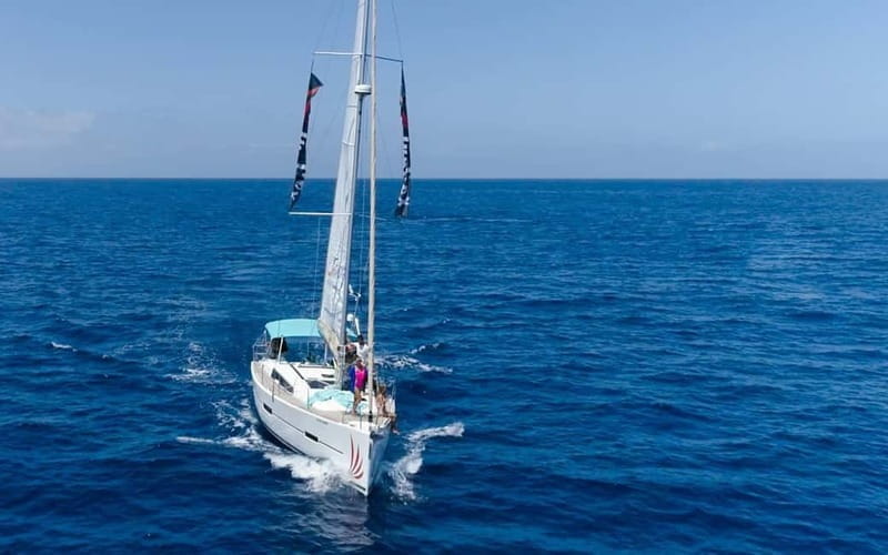 Tenerife Whale Watching and Snorkeling Yacht Trip - Key points / Takeaways