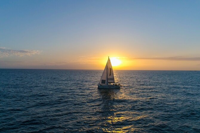Tenerife Whale Watching and Snorkeling Yacht Trip - Additional Information for Guests
