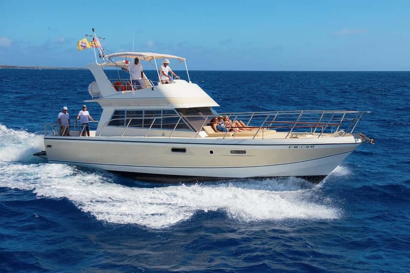 Tenerife: Whale watching tour with swim and lunch on yacht for 22 passengers - Introducing Tenerife’s Whale Watching Yacht Tour