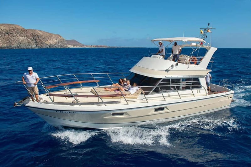 Tenerife: Whale watching tour with swim and lunch on yacht for 22 passengers - Who Will Love This Tour?