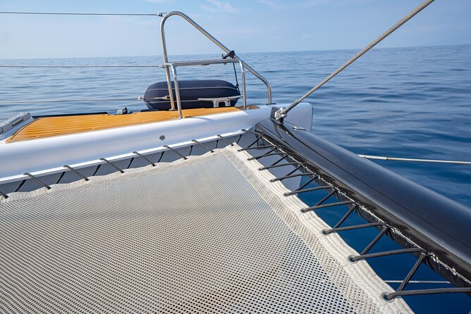 Tenerife Whales and Dolphins Watching Experience in Catamaran - Customer Reviews