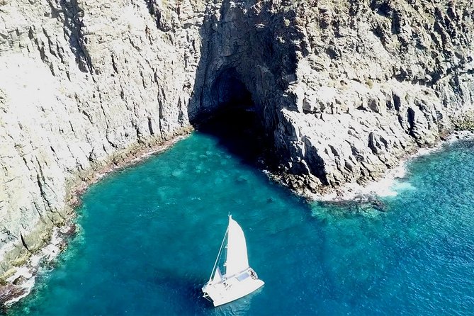Tenerife Whales and Dolphins Watching Experience in Catamaran - Highlights of the Tour