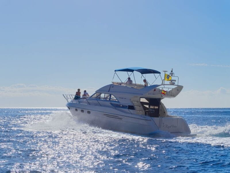Tenerife: Whales and Snorkeling Tour on a Luxury Yacht - Logistics, Duration, and Group Size