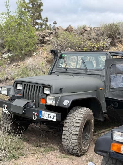 Tenerife: Wrangler Jeep tour to visit Los Gigantes and the south coast - Key Points / Takeaways