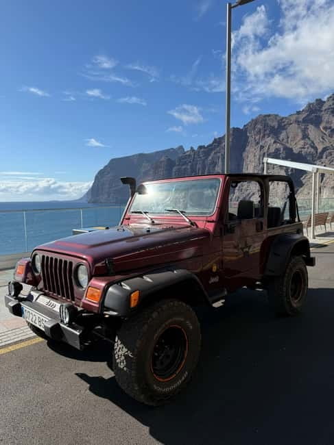 Tenerife: Wrangler Jeep tour to visit Los Gigantes and the south coast - A Closer Look at the Tenerife Wrangler Jeep Tour