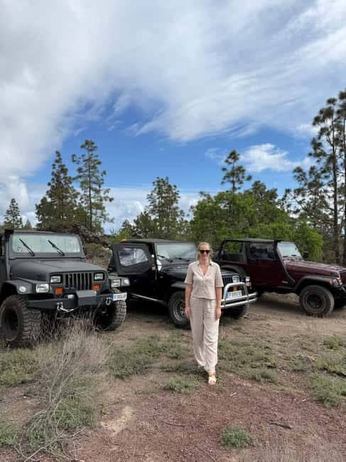 Tenerife: Wrangler Jeep tour to visit Los Gigantes and the south coast - The Sum Up